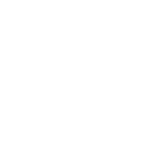 Novo Projeto